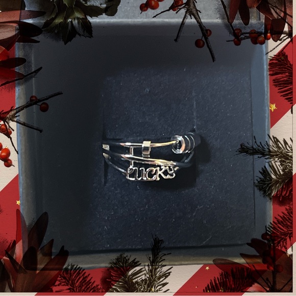 New Sterling Silver 925 lucky Anti Stress Womens Fidget Anxiety Ring - Picture 2 of 11